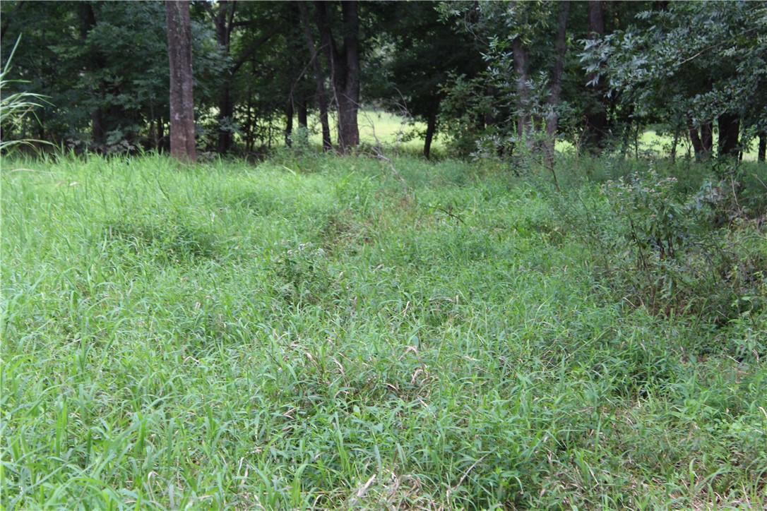 16601 County Road 467 Marquez, TX 77865 - Photo 25 of 38 a view of green field