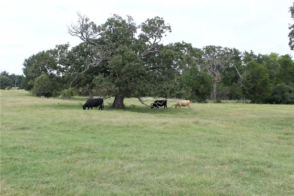 $2,200,000 | 16601 County Road 467, Marquez, TX 77865