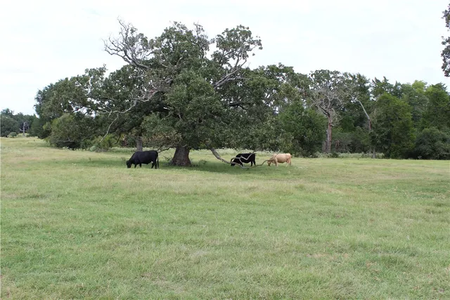 $2,200,000 | 16601 County Road 467, Marquez, TX 77865