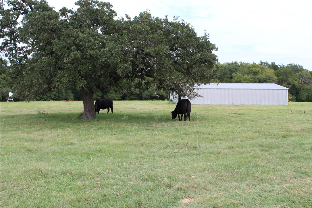 16601 County Road 467 Marquez, TX 77865 - Photo 27 of 38 View of green lawn with an outbuilding, an outdoor structure, and a rural view