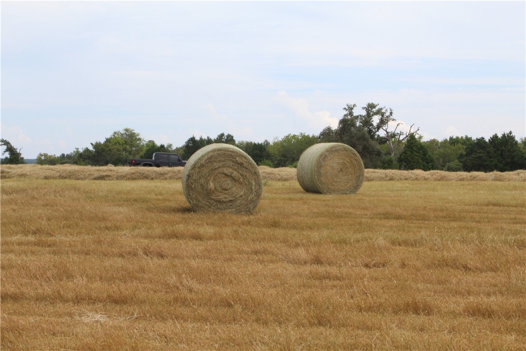 16601 County Road 467 Marquez, TX 77865 - Photo 29 of 38 View of nature with rural landscape