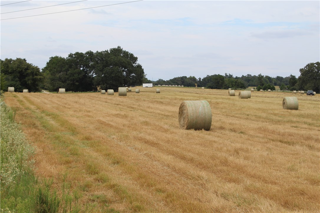 16601 County Road 467 Marquez, TX 77865 - Photo 30 of 38 View of grassy yard with a rural view