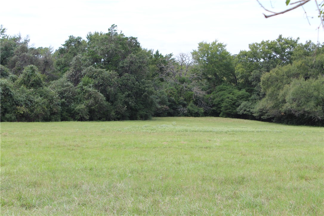 16601 County Road 467 Marquez, TX 77865 - Photo 32 of 38 a view of a field with an outdoor space