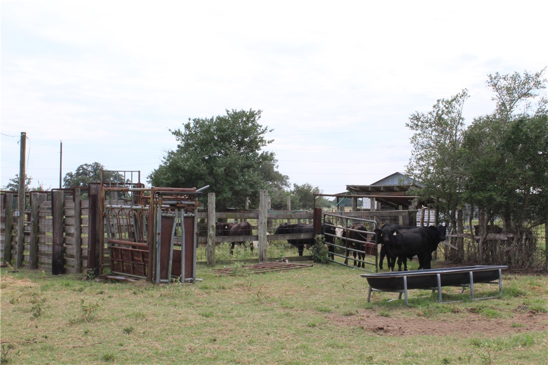 16601 County Road 467 Marquez, TX 77865 - Photo 35 of 38 View of yard with a gate
