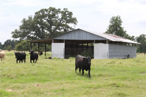 $2,200,000 | 16601 County Road 467, Marquez, TX 77865