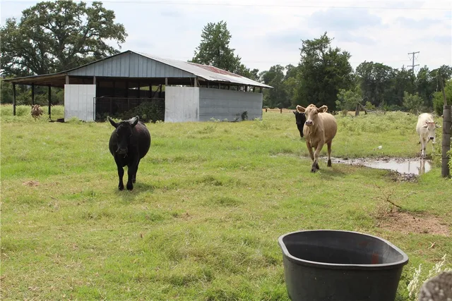 $2,200,000 | 16601 County Road 467, Marquez, TX 77865