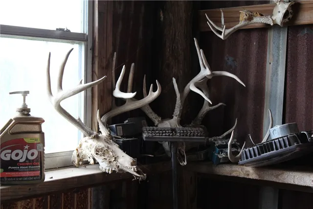 a view of a field with trees in the background