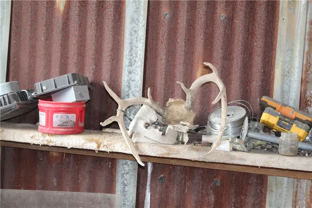 a view of lake with mountain