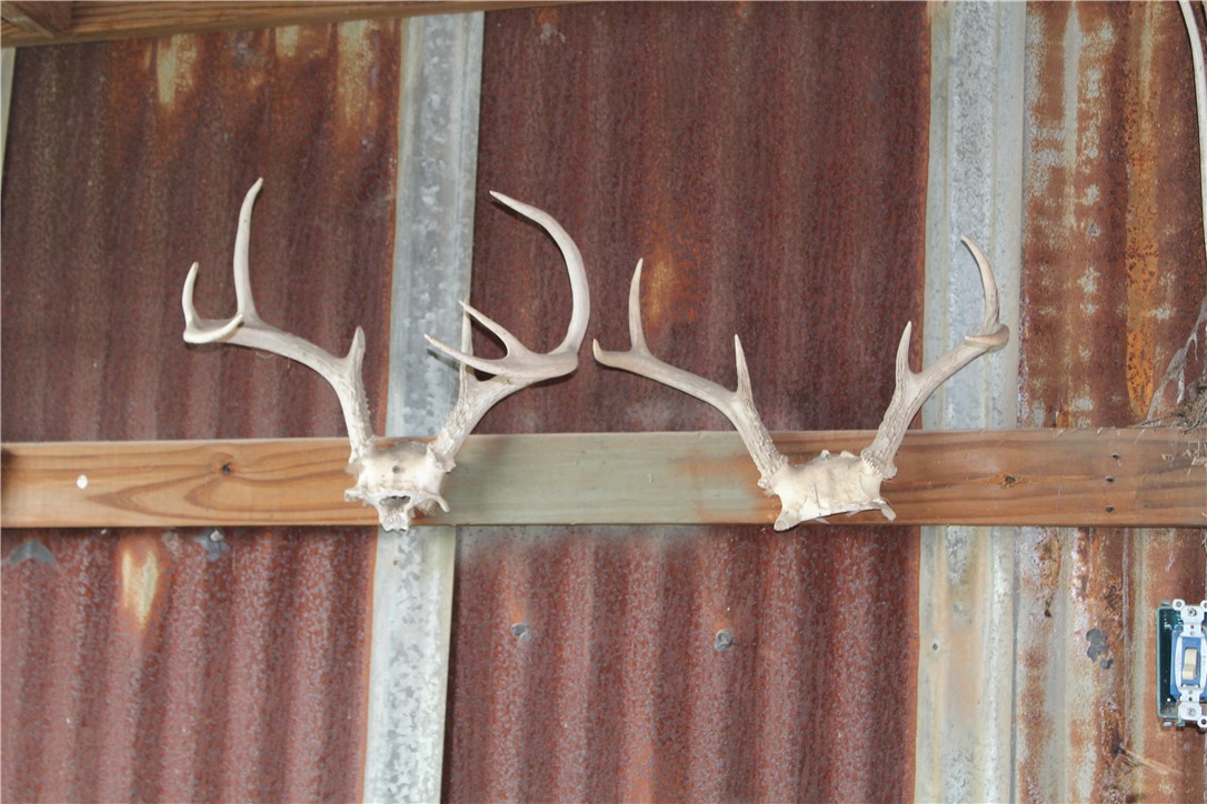 16601 County Road 467 Marquez, TX 77865 - Photo 7 of 38 Detailed view