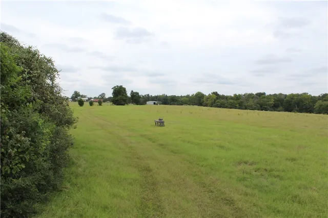 a view of a yard with large trees