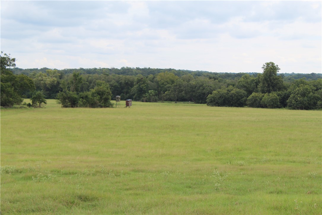 16601 County Road 467 Marquez, TX 77865 - Photo 10 of 38 View of nature featuring rural landscape