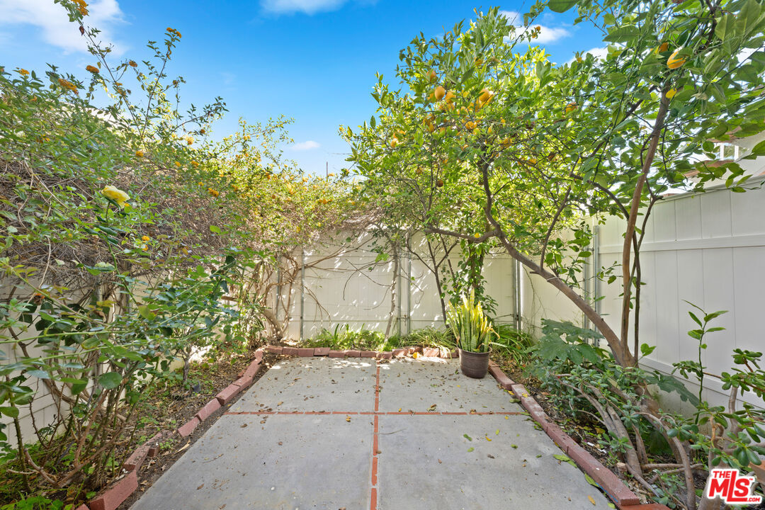 825 16th Street, Unit B Santa Monica, CA 90403 - Photo 8 of 15 a view of a yard with plants and trees