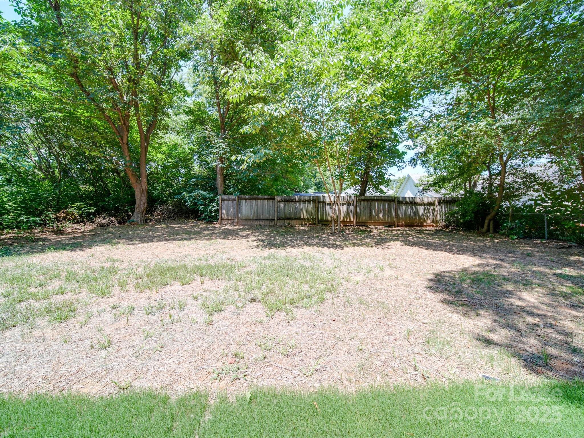 1012 Wood Street Albemarle, NC 28001 - Photo 30 of 31 a view of a yard with a tree