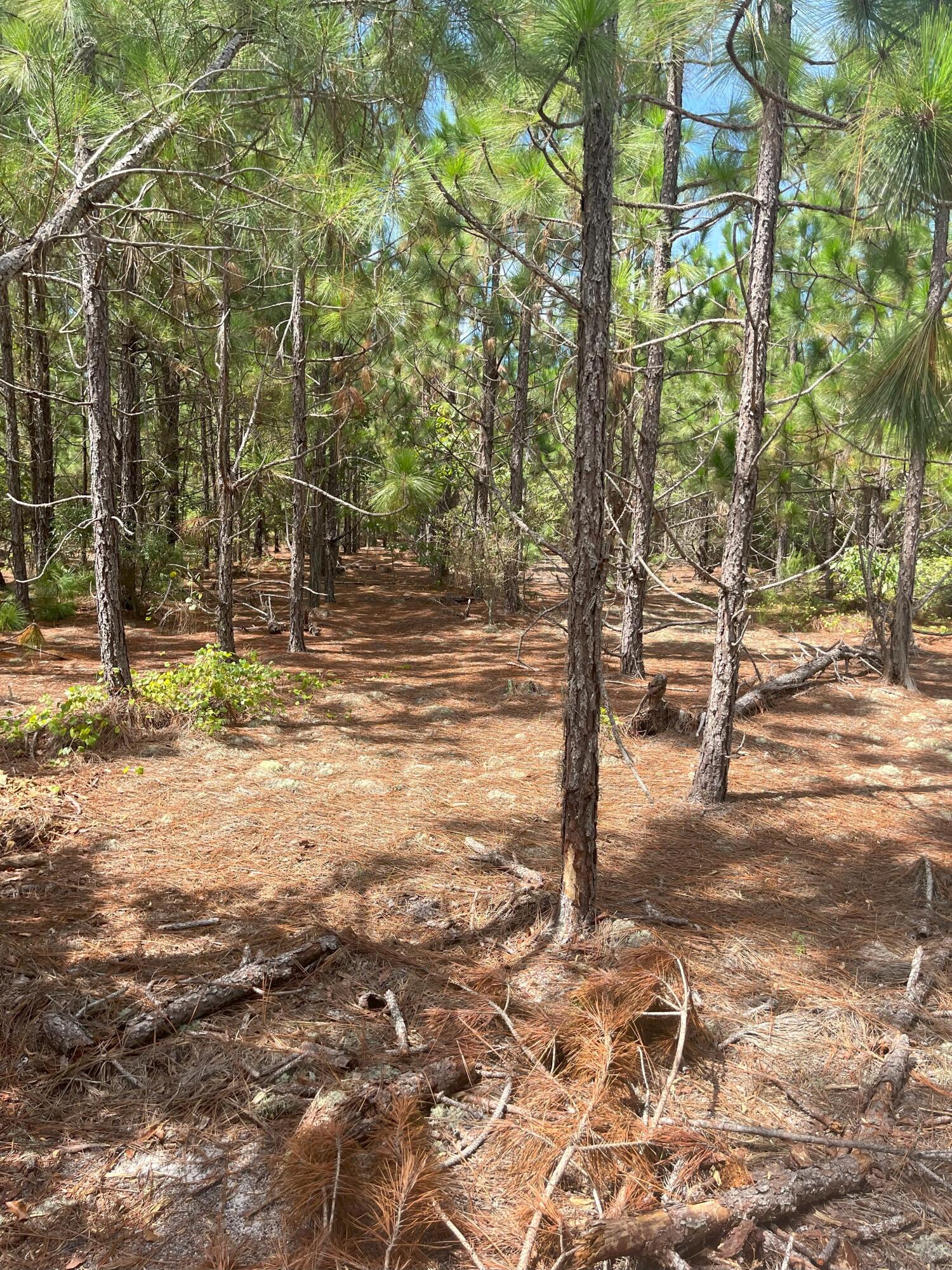 10 Payne Pond Road, Unit PPF 10 Westville, SC 29175 - Photo 9 of 16