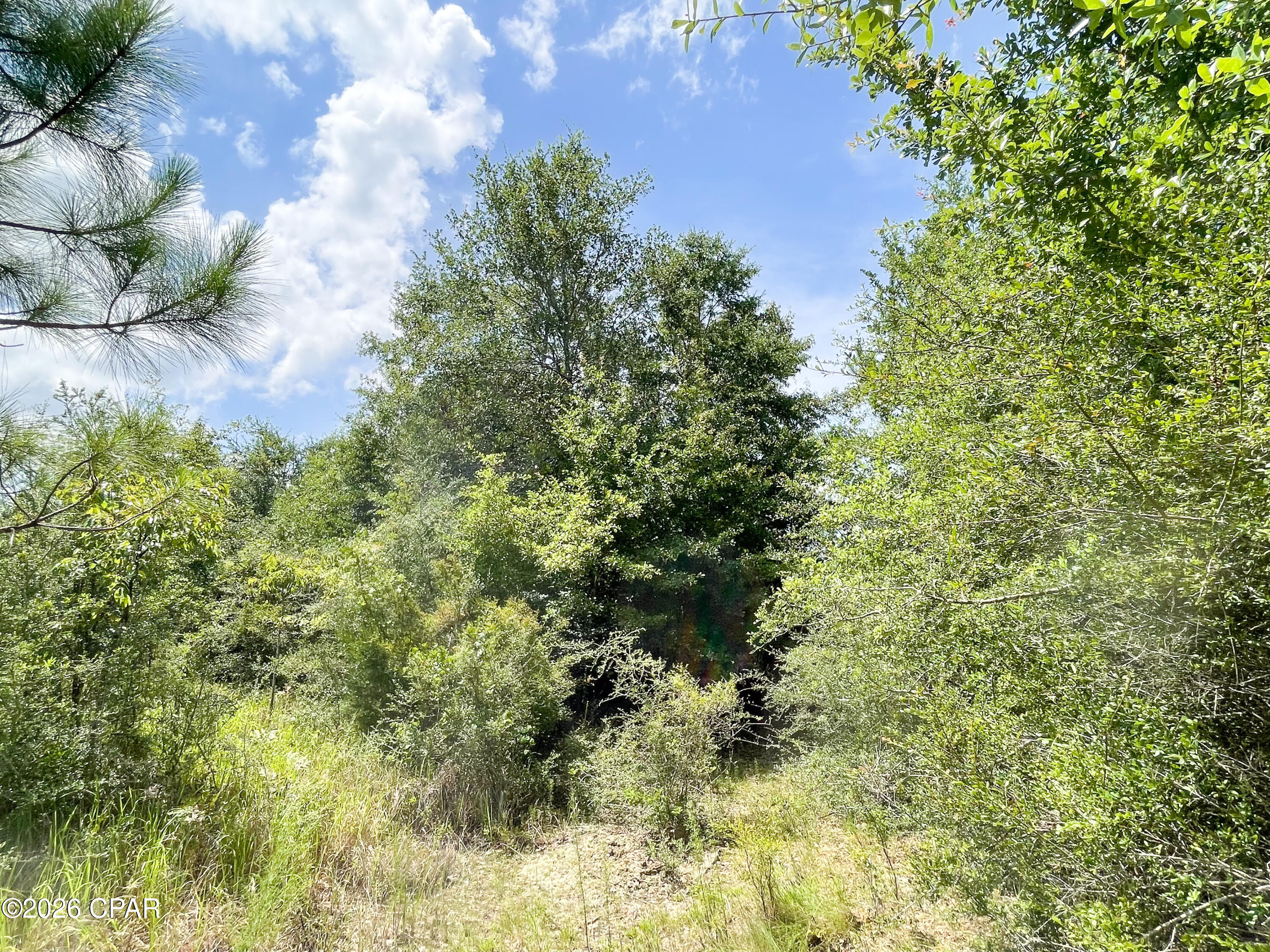 9 Bess Nook Road Bonifay, FL 32425 - Photo 14 of 20