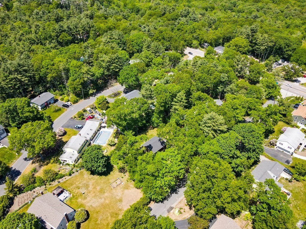 5 Hazelwood Drive Hingham, MA 02043 - Photo 11 of 12 a view of a garden with plants