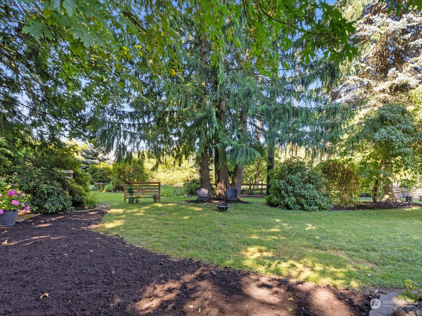 19124 27th Drive Southeast Bothell, WA 98012 - Photo 26 of 35 a view of a trees with a big yard