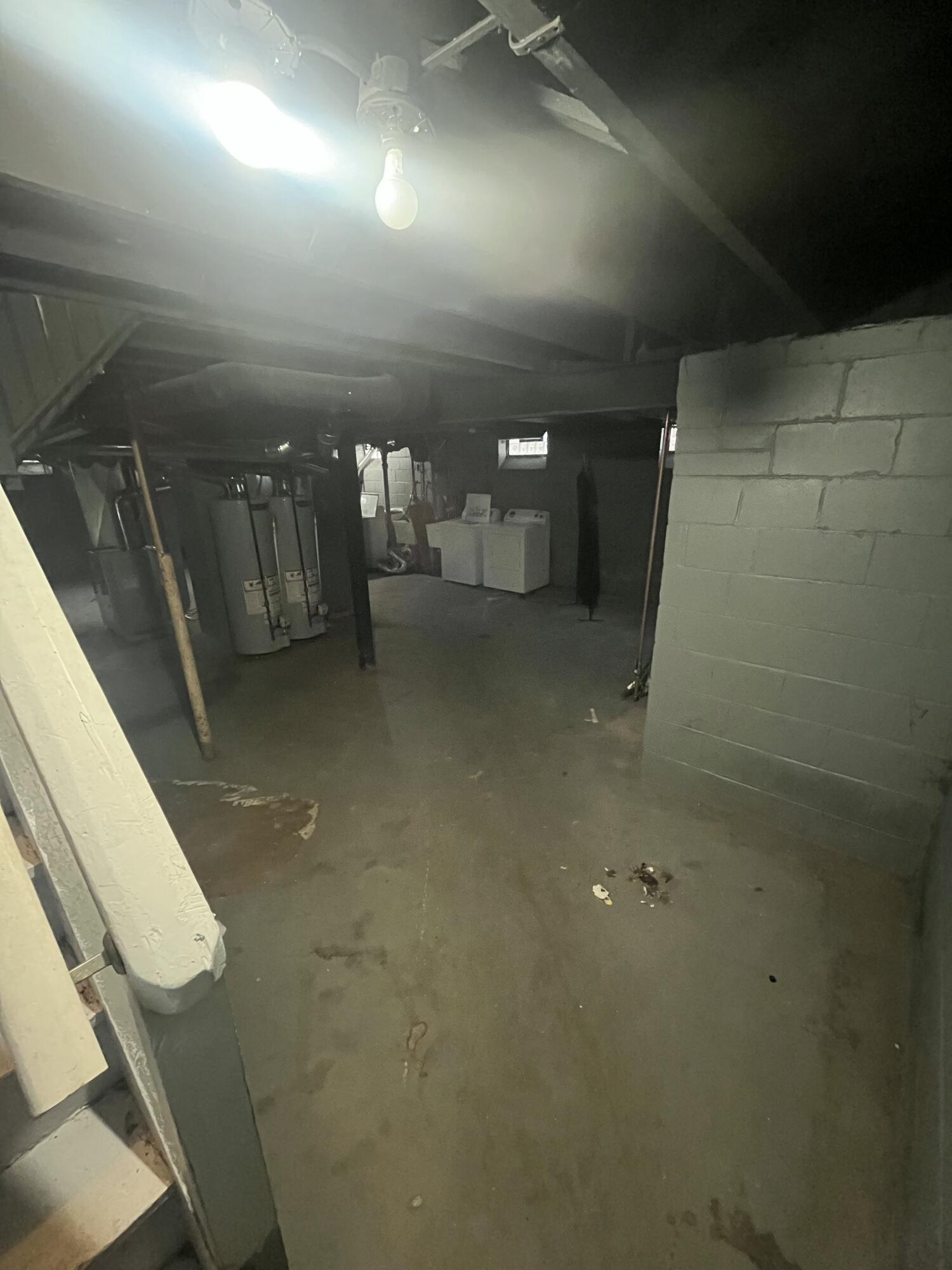 5919 Balfour Road Detroit, MI 48224 - Photo 21 of 21 Basement