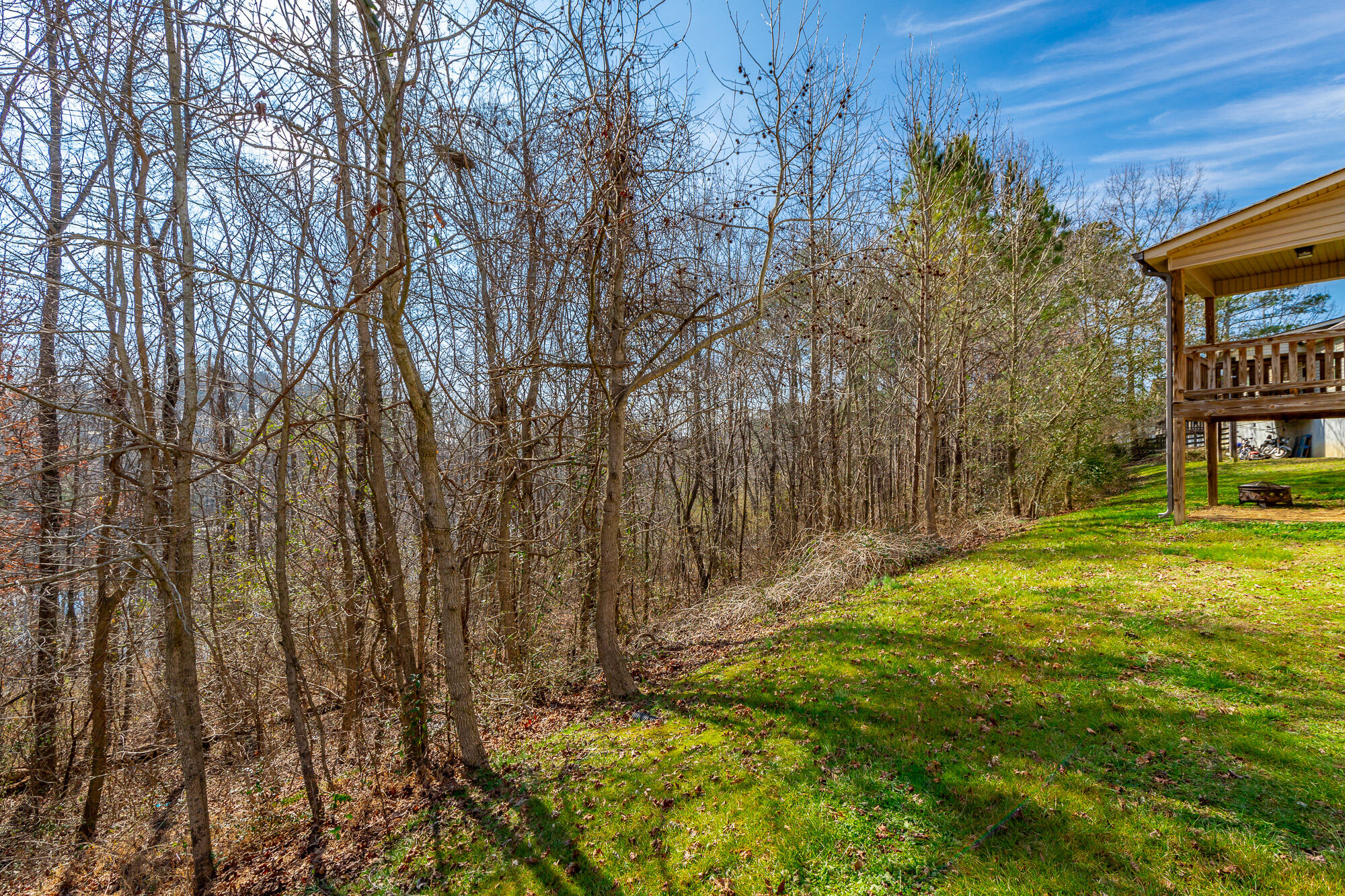 188 Cottage Crest Court Chickamauga, GA 30707 - Photo 43 of 54 188 Cottage Crest Court HD-57