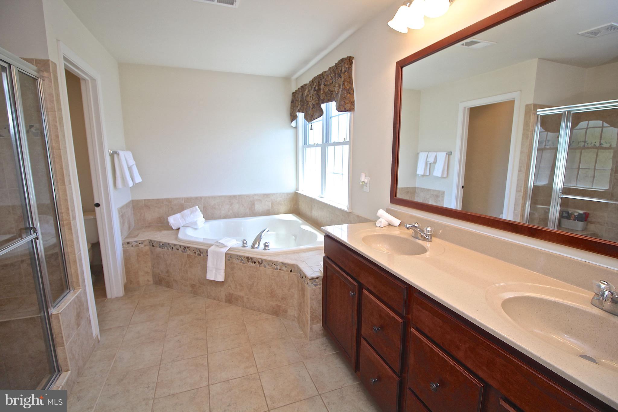 15221 Londons Bridge Road Haymarket, VA 20169 - Photo 26 of 44 Luxury Master bathroom