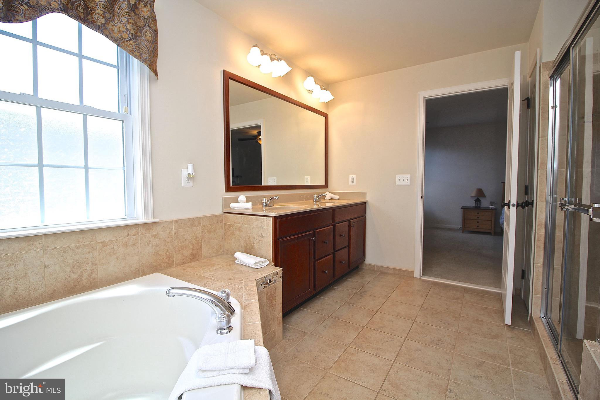 15221 Londons Bridge Road Haymarket, VA 20169 - Photo 27 of 44 Luxury Master Bathroom