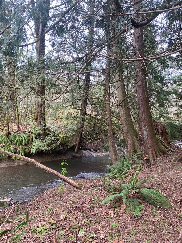 0 Frost Road Sumas, WA 98295 - Photo 12 of 20 a backyard of a house with lots of green space