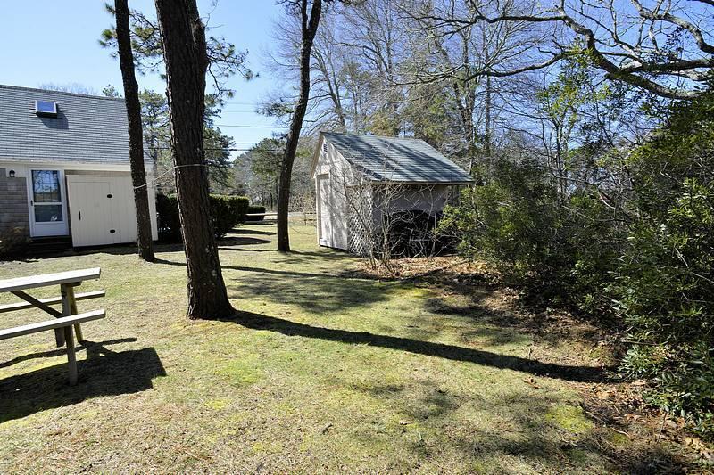 26 Lower County Road Dennis Port, MA 02639 - Photo 8 of 32 a view of a backyard with a tree
