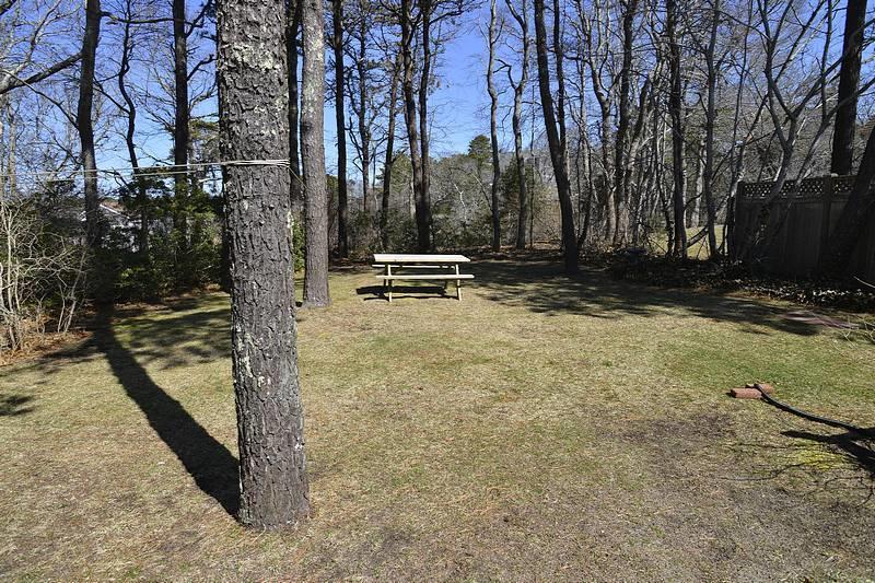 26 Lower County Road Dennis Port, MA 02639 - Photo 9 of 32 a view of a forest with trees
