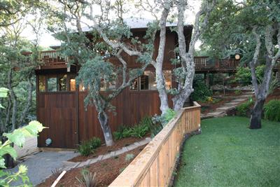 195 Crest Road Novato, CA 94945 - Photo 7 of 12 a view of a yard in front of house
