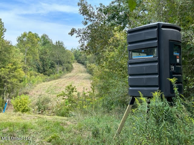 0 Judkins Road Yazoo City, MS 39194 - Photo 1 of 43 Gas Line