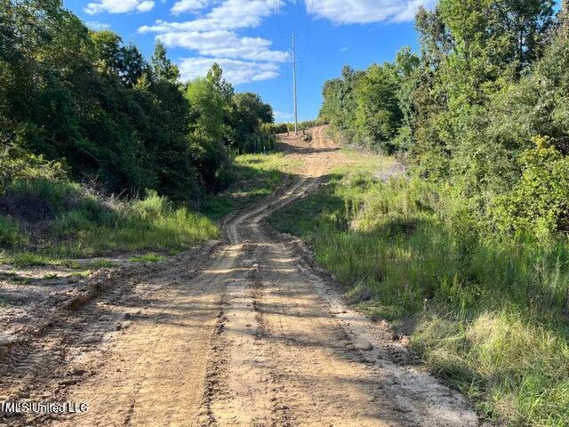 0 Judkins Road Yazoo City, MS 39194 - Photo 12 of 43 20231002054401466295000000-o