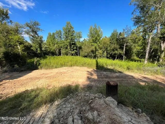 $229,000 | 0 Judkins Road, Yazoo City, MS 39194