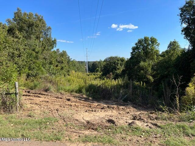 0 Judkins Road Yazoo City, MS 39194 - Photo 15 of 43 20231002054512571230000000-o