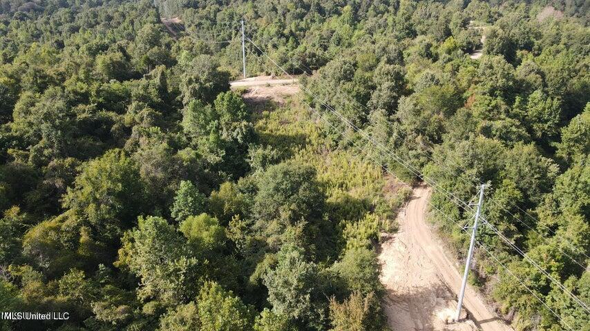 0 Judkins Road Yazoo City, MS 39194 - Photo 17 of 43 20231002054720146173000000-o