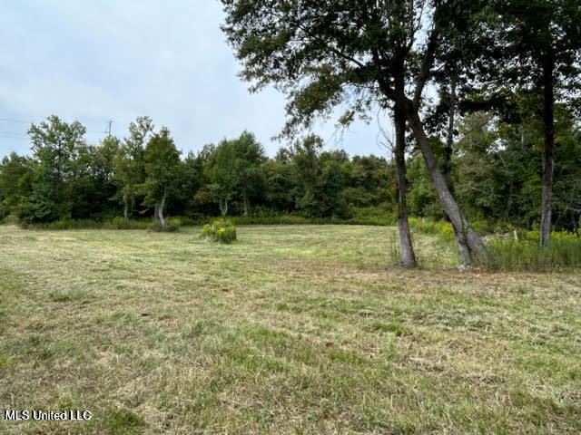 0 Judkins Road Yazoo City, MS 39194 - Photo 2 of 43 20231002052739302389000000-o