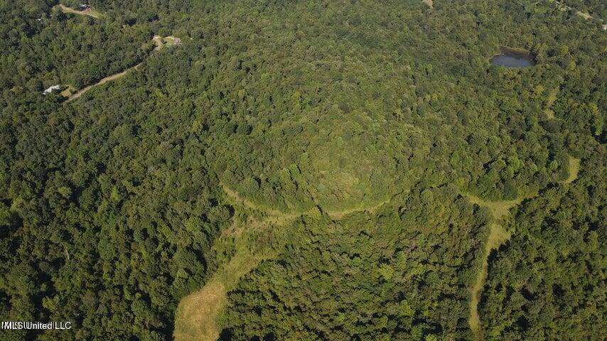 0 Judkins Road Yazoo City, MS 39194 - Photo 24 of 43 20231002055205710282000000-o