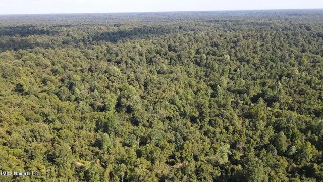 $229,000 | 0 Judkins Road, Yazoo City, MS 39194