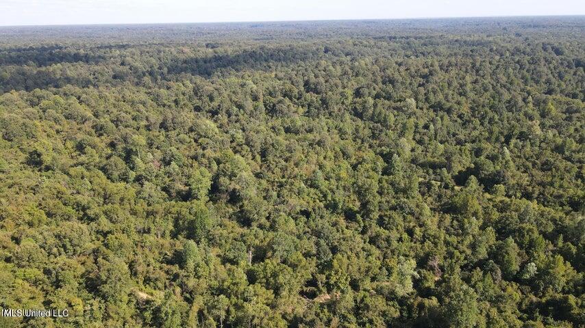 0 Judkins Road Yazoo City, MS 39194 - Photo 25 of 43 20231002055543817835000000-o