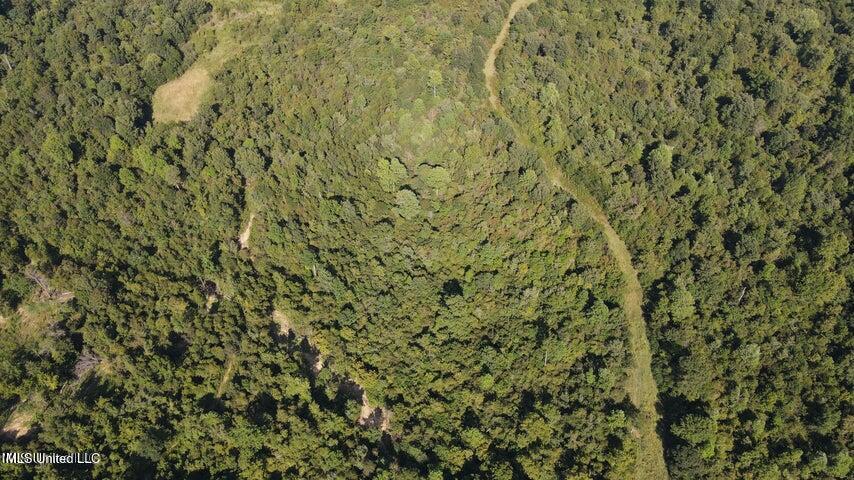 0 Judkins Road Yazoo City, MS 39194 - Photo 29 of 43 20231002055742983907000000-o