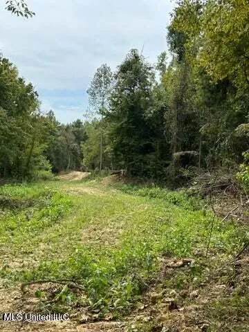 $229,000 | 0 Judkins Road, Yazoo City, MS 39194