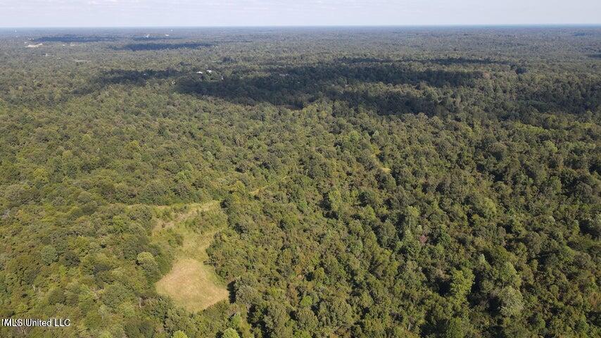 0 Judkins Road Yazoo City, MS 39194 - Photo 35 of 43 20231002060034075351000000-o