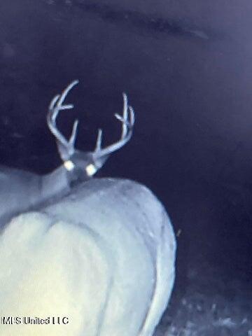 0 Judkins Road Yazoo City, MS 39194 - Photo 37 of 43 20231019172440793231000000-o