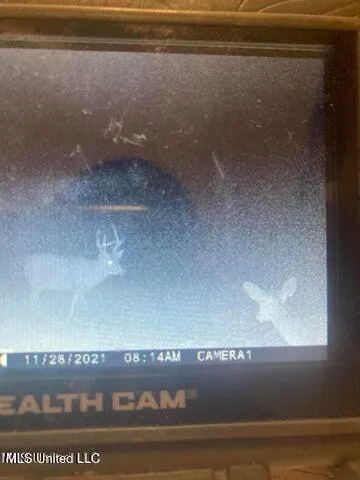 $229,000 | 0 Judkins Road, Yazoo City, MS 39194