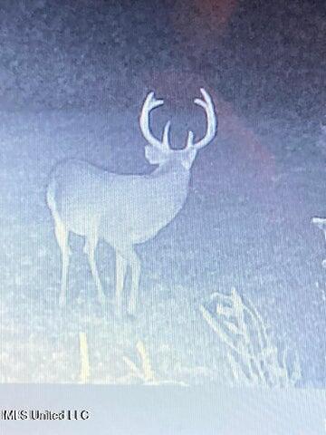 0 Judkins Road Yazoo City, MS 39194 - Photo 39 of 43 20231019172822015582000000-o