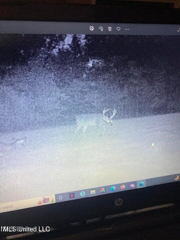 0 Judkins Road Yazoo City, MS 39194 - Photo 40 of 43 20231019172834840557000000-o