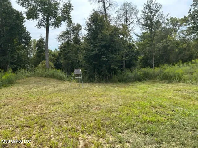$229,000 | 0 Judkins Road, Yazoo City, MS 39194