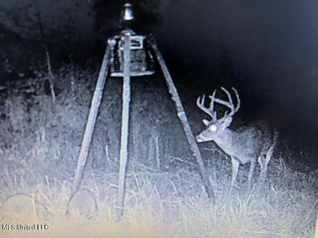 0 Judkins Road Yazoo City, MS 39194 - Photo 42 of 43 20231019173012395870000000-o