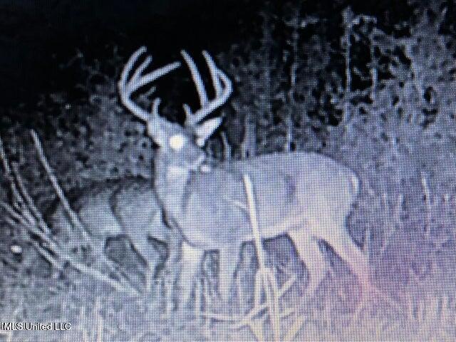 0 Judkins Road Yazoo City, MS 39194 - Photo 43 of 43 20231019173024497120000000-o