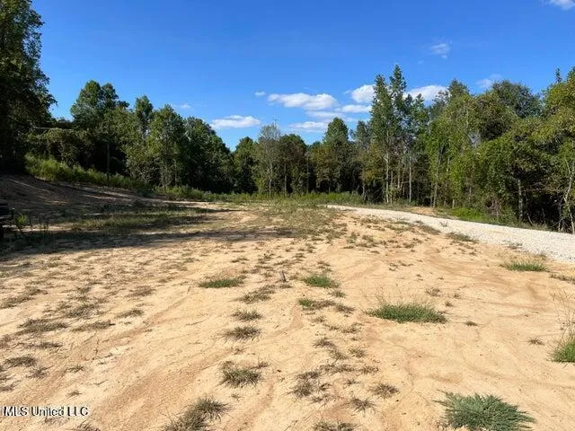$229,000 | 0 Judkins Road, Yazoo City, MS 39194