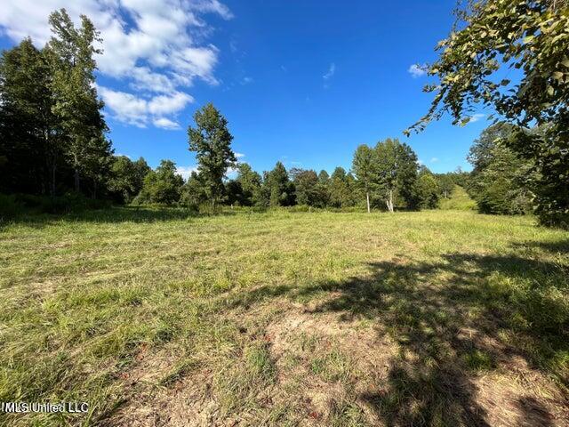 0 Judkins Road Yazoo City, MS 39194 - Photo 10 of 43 20231002054313906096000000-o